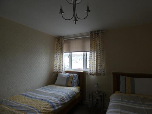 White Rose - image 14