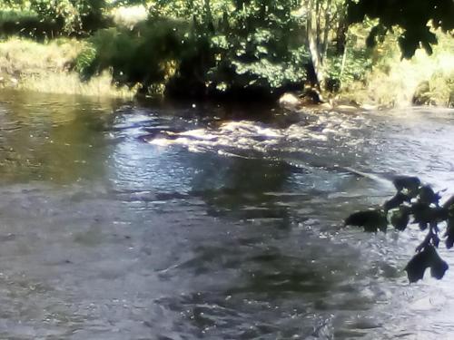 Craighlaw Vintage Guest Rooms