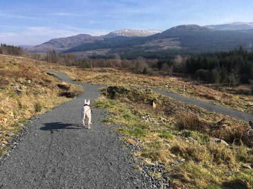 Craighlaw Vintage Guest Rooms in Newton Stewart