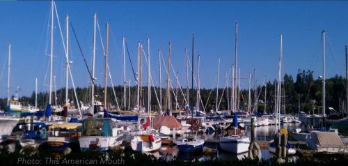 Seattle Urban Village- Unit B- Lago Vista- Lake Union- Sleeps 6