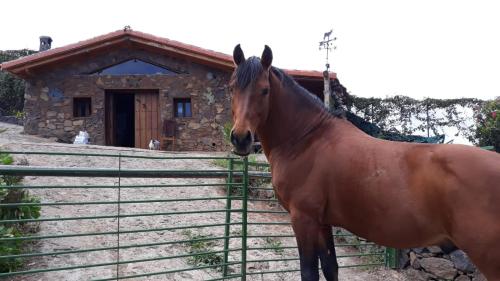  Finca rural Tenerife Relax And Enjoy, Pension in Santa Úrsula