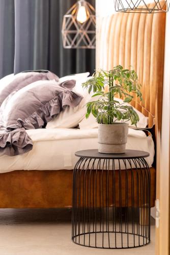 1 queen bed