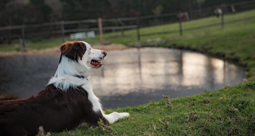 High Season Farm Luxury Cottages