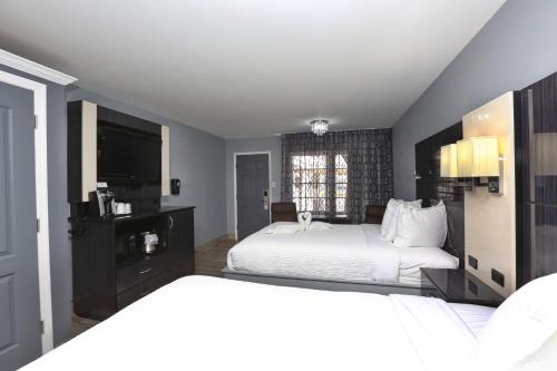 Historic Waterfront Marion Motor Lodge in downtown St Augustine Room Type - Deluxe Double Room