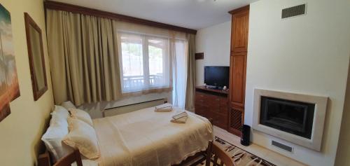 Луксозно студио в Банско - малко кътче от рая., Bansko