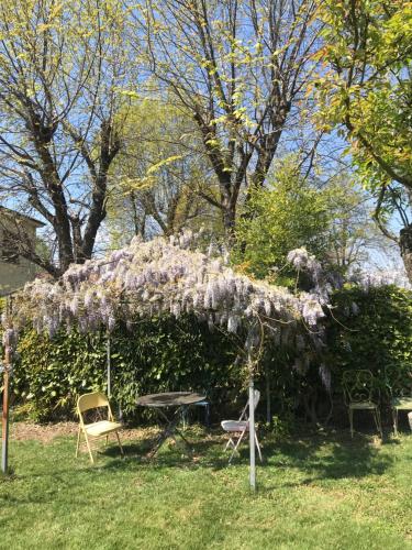  Appartamento per single in villa in Vigevano