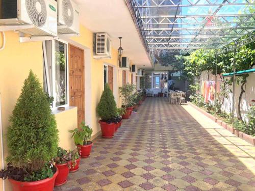 Guest House Delfinchik - main image