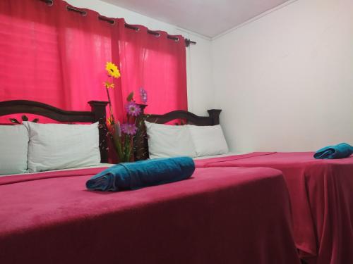 mayacolonial
