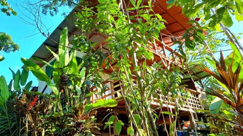 Garden, GreenPoint Drake Bay in Drake Bay