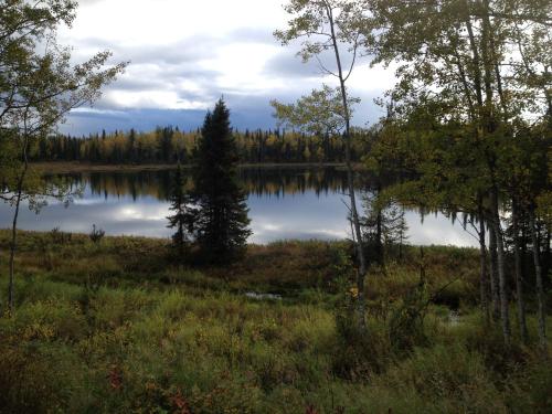 Omgivelser, Whispering Woods AK Cabins in Homer (AK)