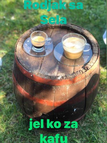 Vila Rodjak sa sela Vila Rodjak sa sela