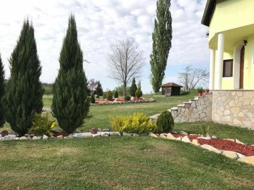 Vila Rodjak - image 6