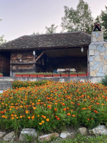 Vila Rodjak sa sela Vila Rodjak sa sela