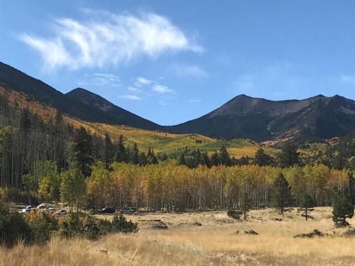 Surrounding environment, Grand Canyon Cottage at Historic Wrigley Ranch with Horseback Riding & Hiking in Parks