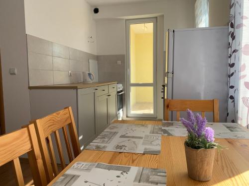 virtuve, Byala Friendy Sea Apartaments in Bajala