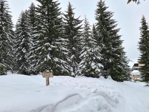 Apartman SpaLux 7/51 Kraljevi Cardaci - image 3