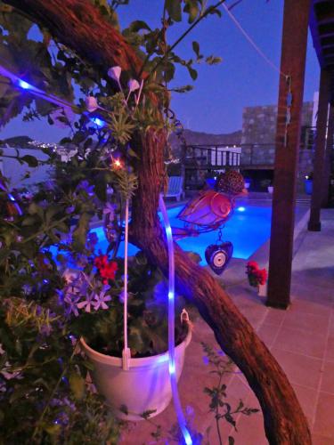 Piscina, Villa Priene - Gumusluk Private Pool in Bodrum
