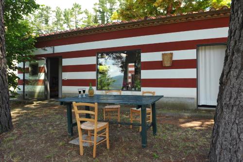 Il Pollaio - relax e piscina gîte à louer Rincine