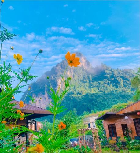View, The Art - Golden Jungle House in Ha Giang