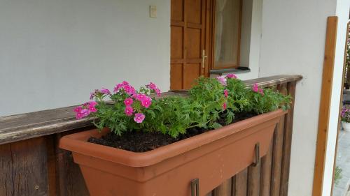 Balkons/terase, Élő Tisza Vendégház (Elo Tisza Vendeghaz) in Nagykörű