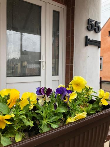 KRIN apartman in ดูโดวาชูมา