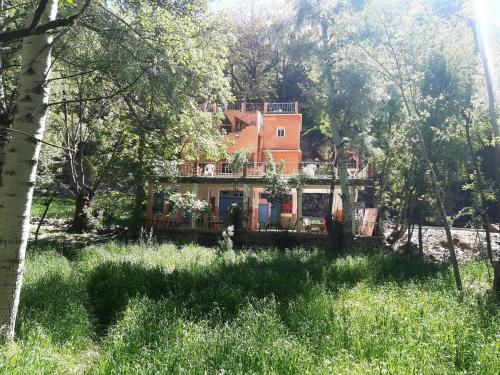 Dārzs, Auberge Toubkal Amsouzart Aitst Idar in Amsouzart