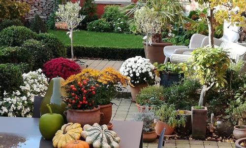 Adamas B&B Adamas B&B