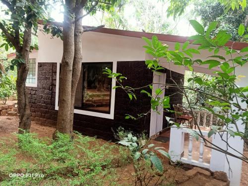 Namaste Yoga Farm, Gokarna (Foto 5)