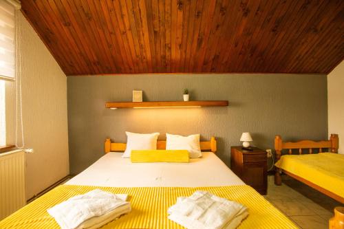 Guest House Vila Alexandar - image 4