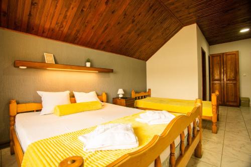 Guest House Vila Alexandar - image 6