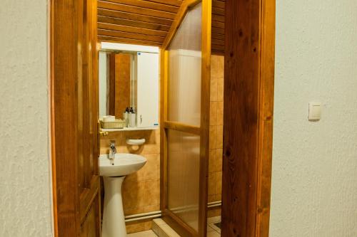 Guest House Vila Alexandar - image 8