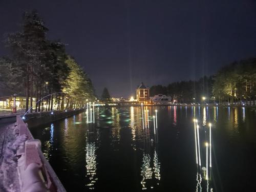 Zlatibor Hills Royal - image 3