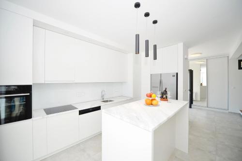 Kitchen, Villa Zen Hill in Petrovac