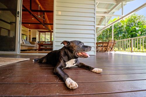 Serenity - Mudjimba - Pet Friendly Holiday Home, Mudjimba (foto 8)