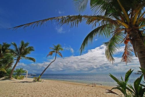 Malapascua Exotic Island Dive Resort