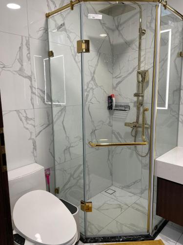 Smarthome Apartment Sunshine City Saigon