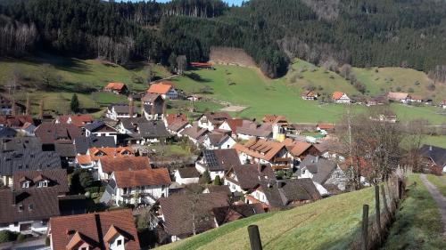 Alrededores, Ferienwohnung Mühlengrün (Ferienwohnung Muhlengrun) in Oberwolfach