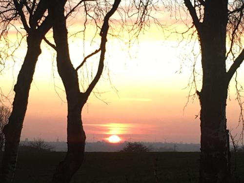 Slimmingegarden 1019 near 말뫼 공항