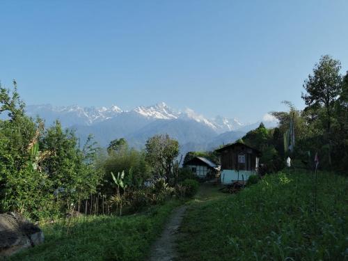 Vamoose Himalayan Viewpoint