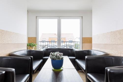 EndHotel Bielany Wroclawskie - image 13