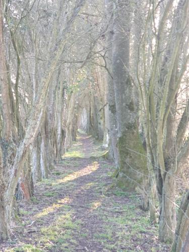 La Clef des Champs in Potelle