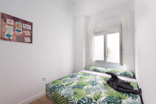 Cozy 3 bed apartment in the heart of Alicante 3