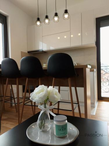PASSION APARTMENT ZLATIBOR