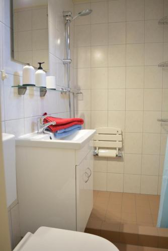 Tuš, DMI13 Kleine Oase, dichtbij strand Domburg in Domburg