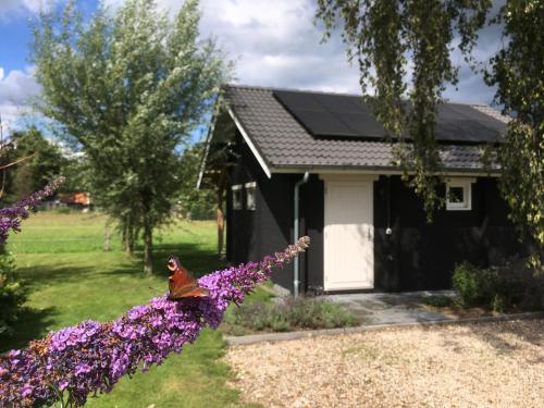 Hotels Image