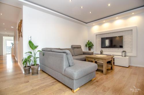 Apartament Timon