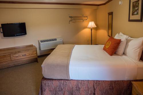 Wild Bear Inn in Pigeon Forge, USA