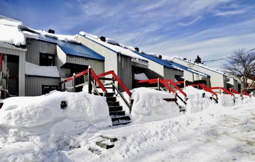 52 Chemin de la Perdrix in Stoneham (QC)