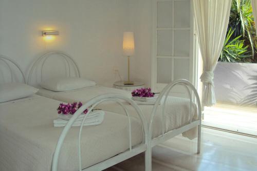 Maison Metel 3