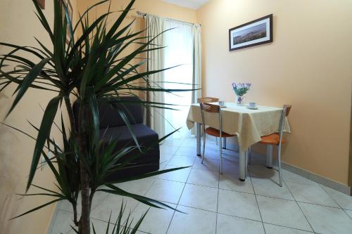 Fasiliti, La Familia Apartments in Makarska